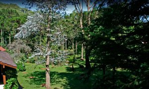 chales-dos-arcos-gramado-rs-7