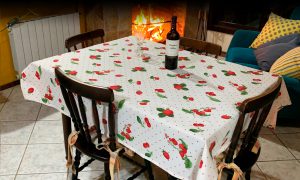 chale-marilia-com-mesa-02